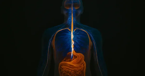 7 Gut-Brain Secrets That Could Transform Your Mood