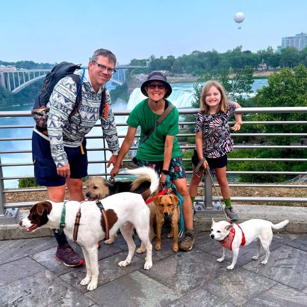 Three people and four dogs stand next to a railing with a giant waterfall in the background.