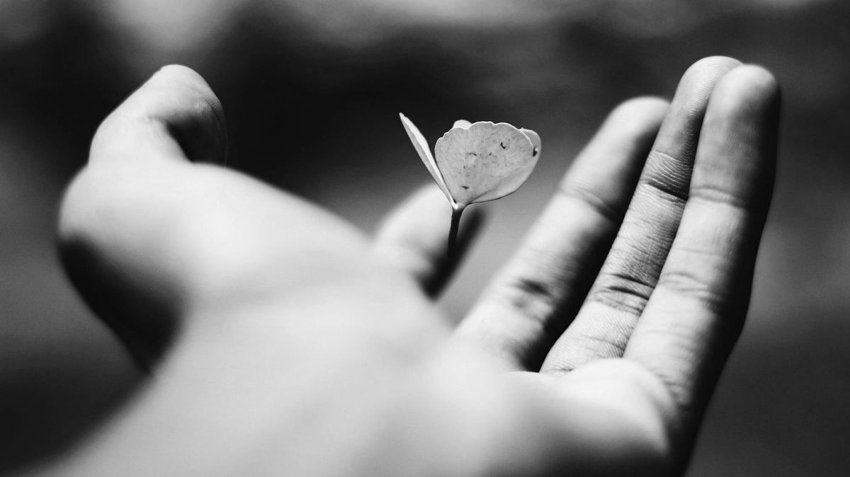 Vivere secondo i tuoi valori: 40 domande per mettere in pratica ciò che conta davvero