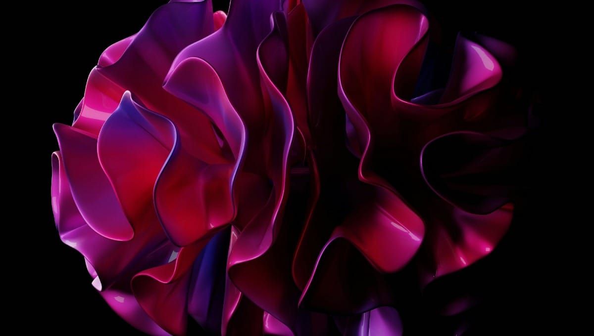 Mappa dei circuiti cerebrali per la formazione delle abitudini — Guida Cambia+