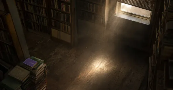 Tenda a mezza altezza e polvere nella luce, in un corridoio di libreria chiusa, in sole pallido d'inverno, agnellino lupo…