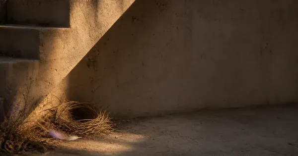 Filo di aquilone sull'erba bagnata, su un tetto con parapetto basso, in sole pallido d'inverno — formare abitudine