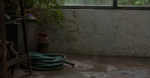 Tubo da giardino avvolto ma scollegato, in un angolo di serra, nell'ombra silenziosa di mezzogiorno, preparare doppio…