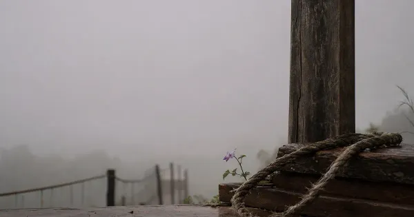 Asse di ponte di corde nella nebbia, su un gradino di veranda, nella foschia di pioggerella primaverile, forza volontà…