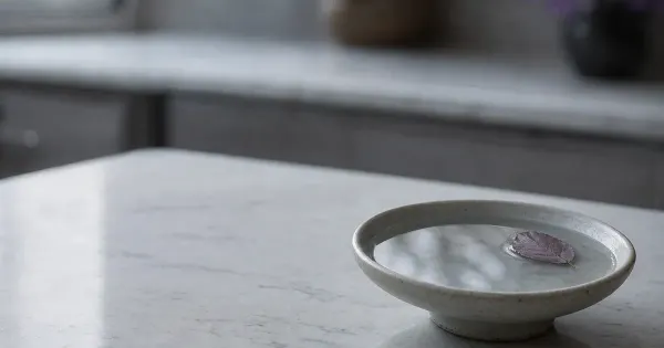 Abbeveratoio con una foglia galleggiante, su un piano cucina sgombro, con cielo coperto e luce morbida, liberta finanziaria