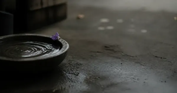 Acqua ferma in una ciotola dopo l'onda, in un angolo di laboratorio, dopo la pioggia, trasformare momenti difficili…