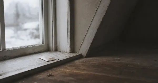 Bustina di semi aperta con un seme fuori, su assi di sottotetto, in sole pallido d'inverno, chi pensi essere