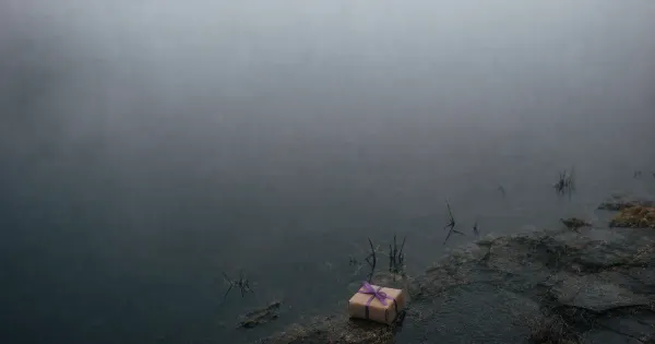 Nastro su un pacco senza etichetta, sul bordo di uno stagno fermo, nella nebbia che si dirada, invisibili ostacoli…