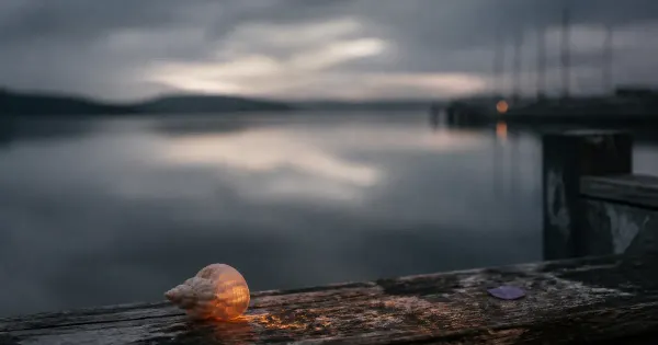 Conchiglia in luce calda sul davanzale, su un molo sull'acqua calma, con cielo coperto e luce morbida, potere terapeutico…
