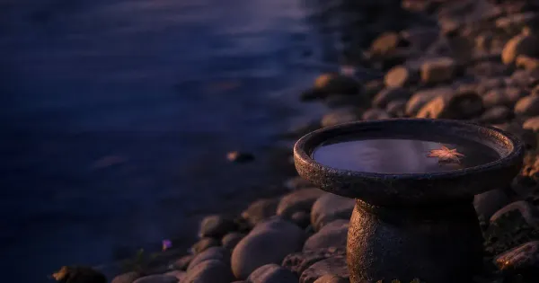 Abbeveratoio con una foglia galleggiante, su una riva di pietre lisce, in luce ambra tardiva, rallentare ottenere più
