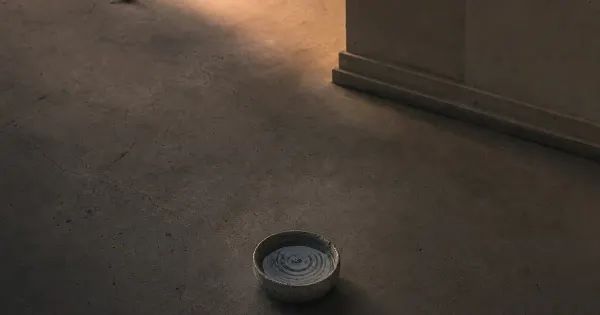 Acqua ferma in una ciotola dopo l'onda, in una sala museale vuota, in luce ambra tardiva, resilienza migliorare
