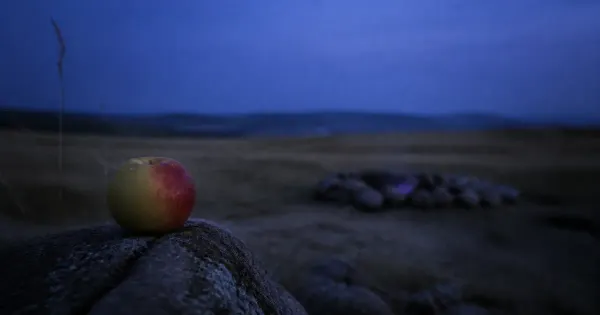 Frutto maturo con goccia di condensa, in una radura da campeggio, nel silenzio profondo d'estate, migliori ted talks…