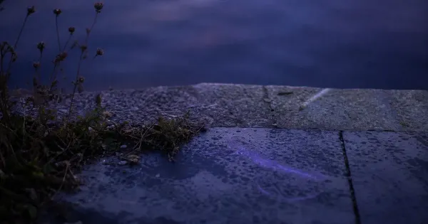 Segni di gesso sul marciapiede che svaniscono, su una soglia di pietra, dopo la pioggia, ted talks tua crescita personale