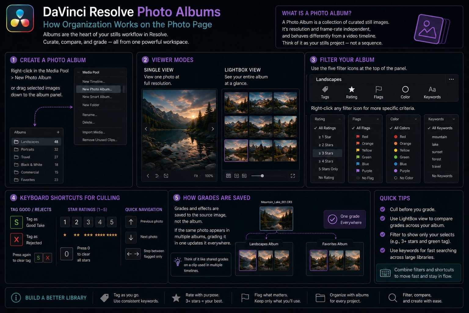 DaVinci Resolve Photo Albums and How Organization Works