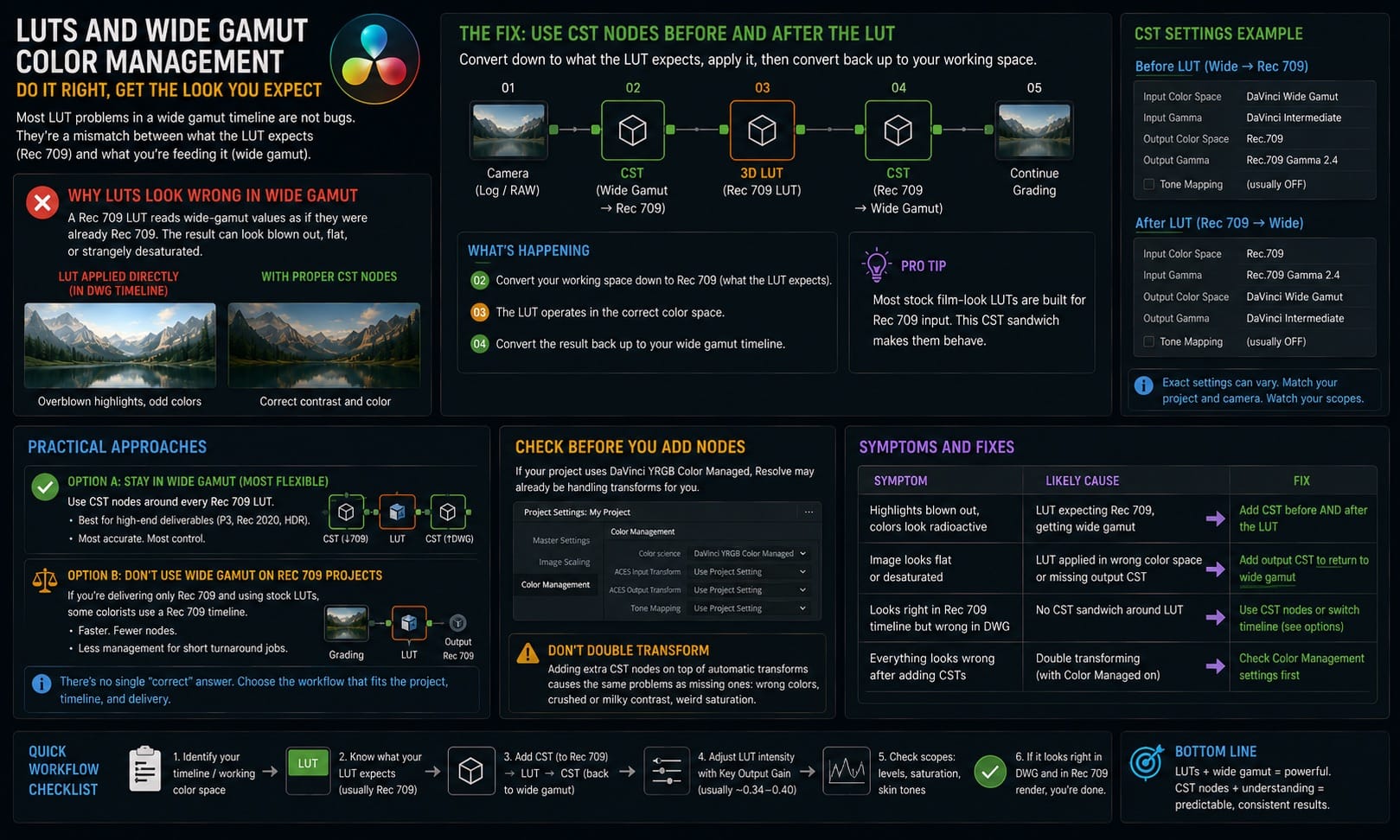 DaVinci Resolve LUTs and Wide Gamut Color Management
