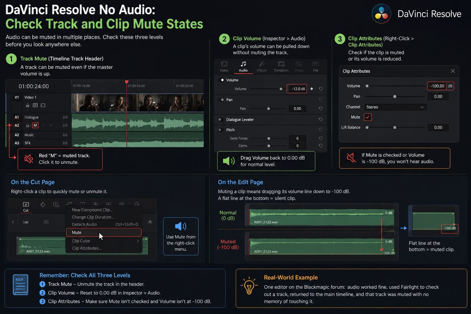 DaVinci Resolve No Audio Check Track and Clip Mute States