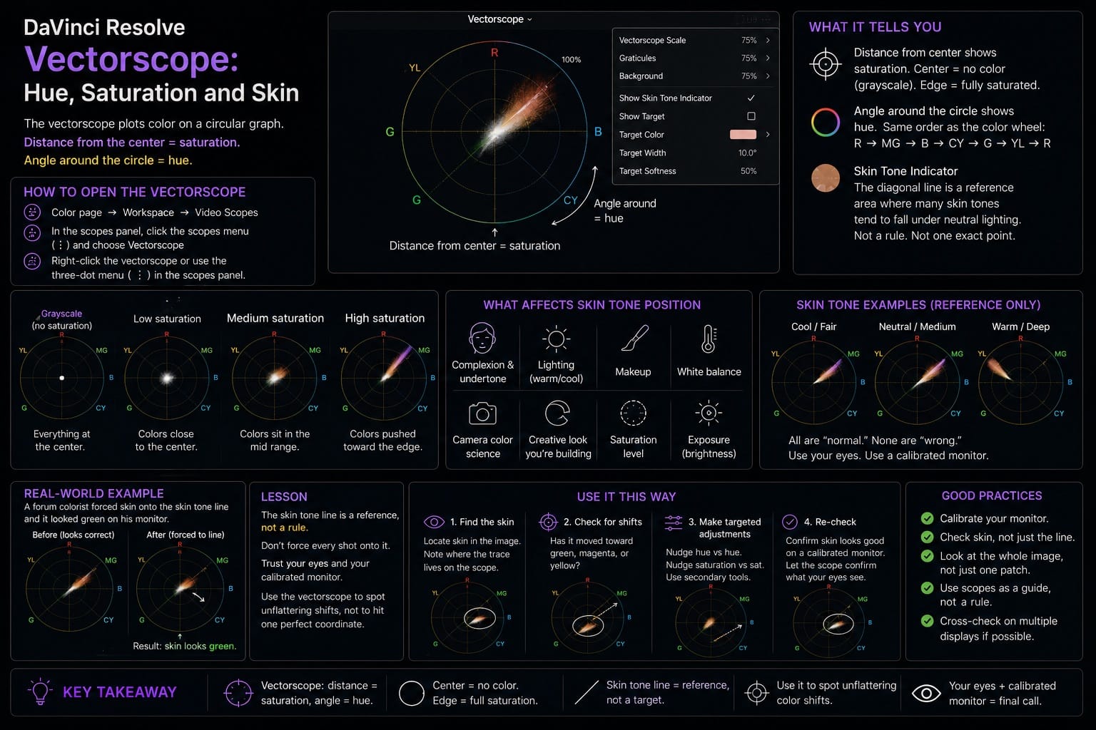 DaVinci Resolve Vectorscope Hue Saturation and Skin