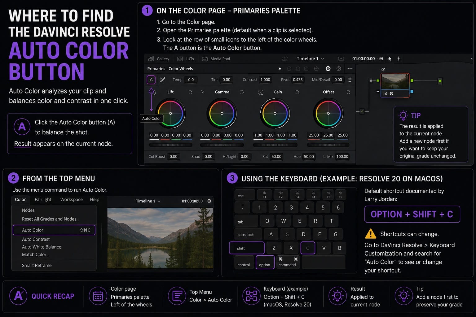 Where to Find the DaVinci Resolve Auto Color Button