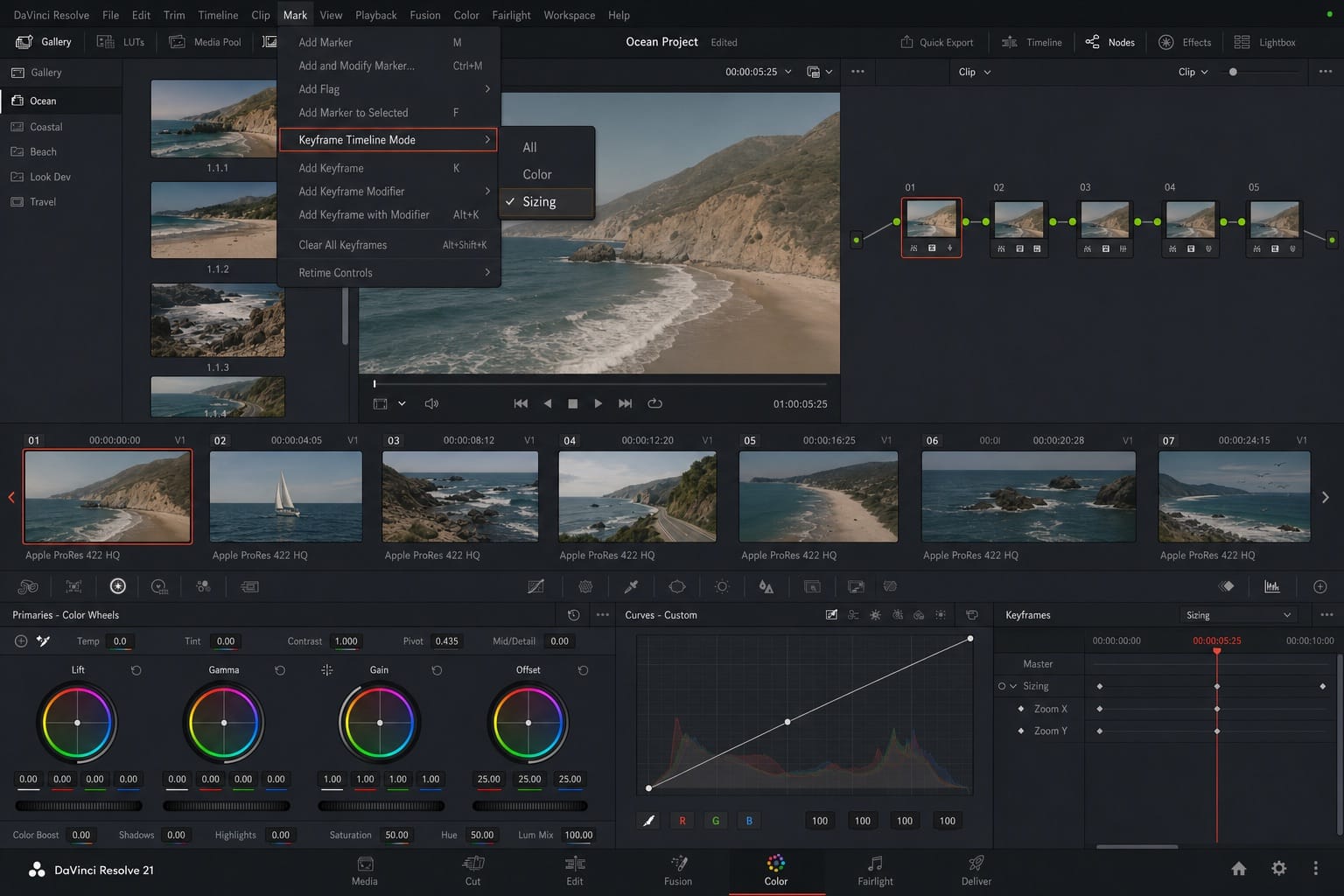 davinci resolve copy grade does nothing sizing editorial