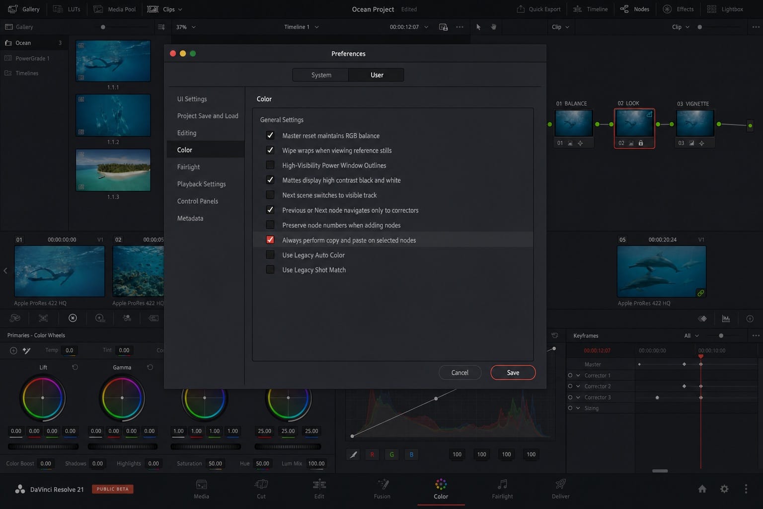 davinci resolve copy paste selected nodes preference editorial