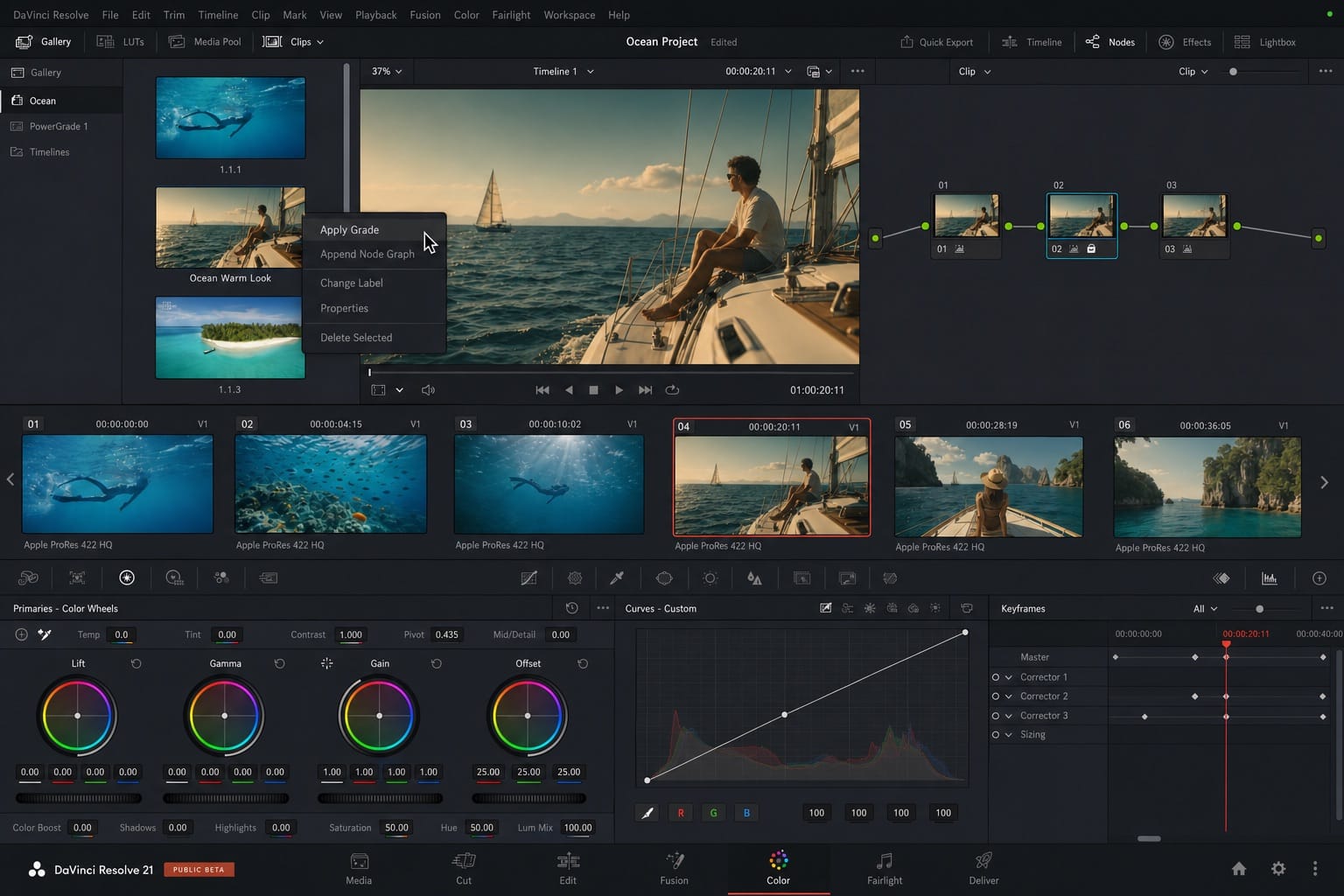 davinci resolve gallery still apply grade editorial
