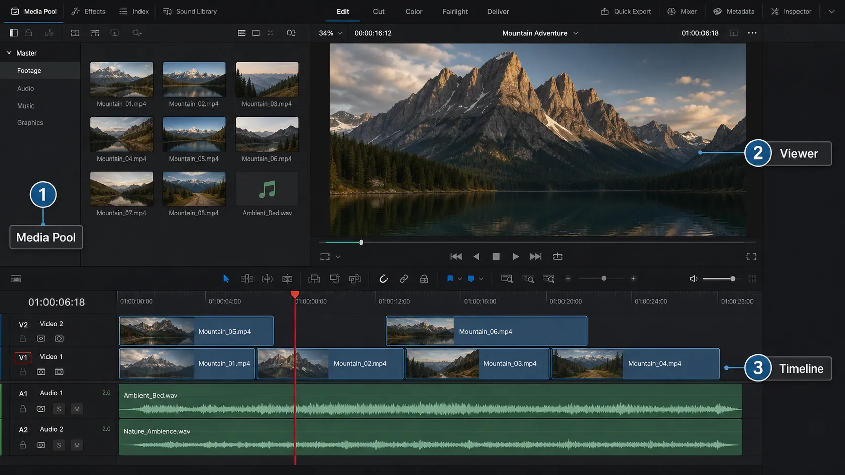 DaVinci Resolve Edit page with Media Pool, Viewer and Timeline labeled