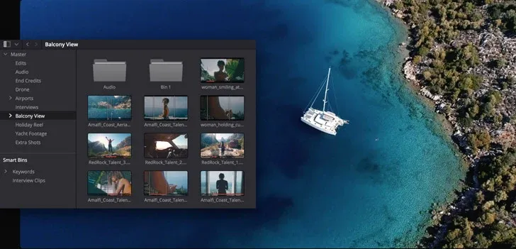 DaVinci Resolve Media page with bins and source clips in the Media Pool