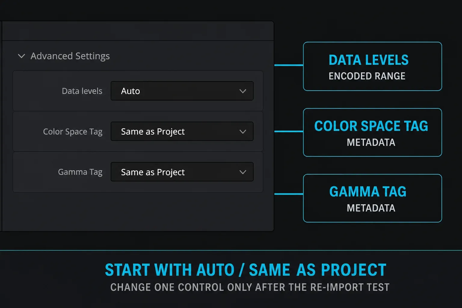 DaVinci Resolve 21 Deliver Advanced Settings with Data levels, Color Space Tag and Gamma Tag