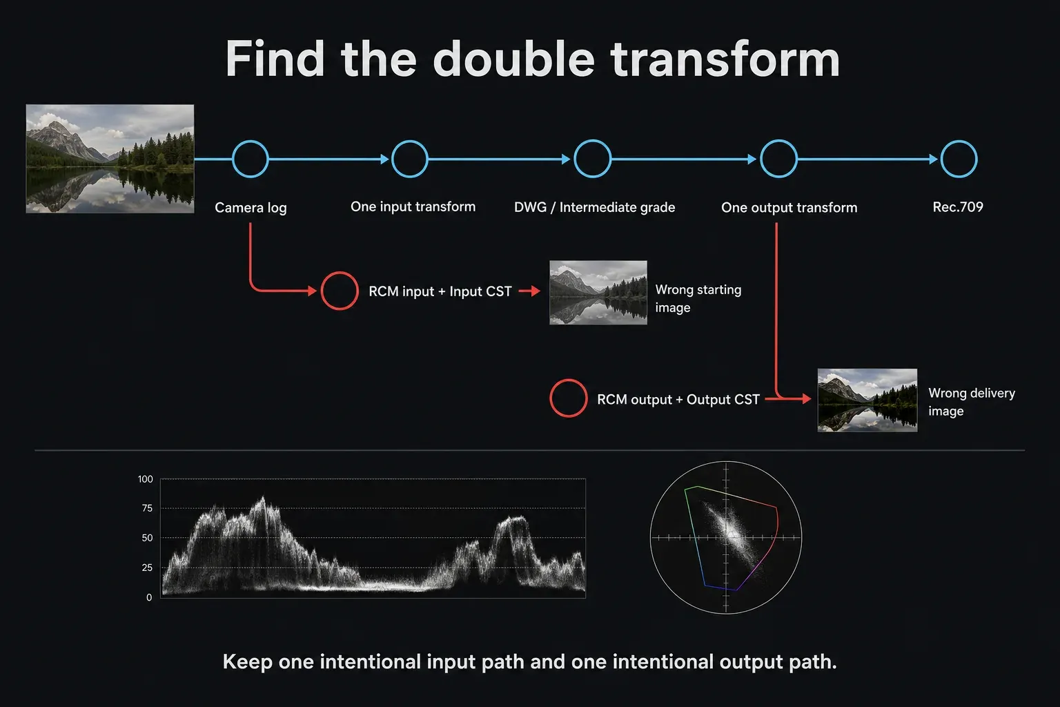 DaVinci Resolve double-transform diagnostic for duplicate RCM and CST input or output mapping