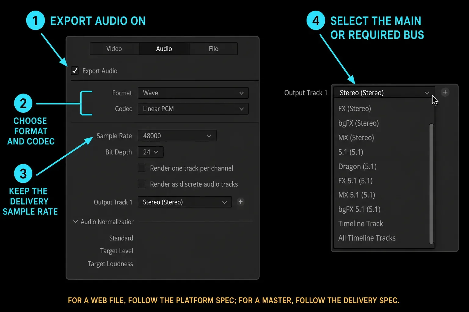 DaVinci Resolve 21 Audio export panel with Export Audio and output bus controls