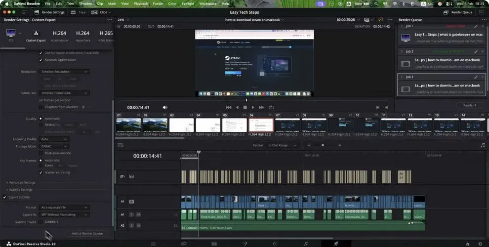 DaVinci Resolve Studio 20 Deliver page with Export Subtitle enabled, separate-file format, SRT and subtitle track selection