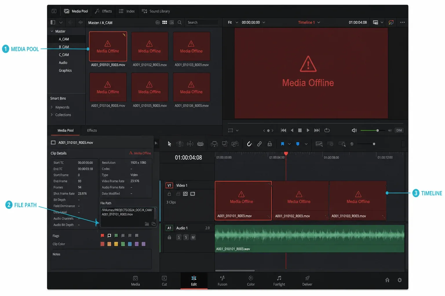 DaVinci Resolve Media Pool file path and timeline checks for Media Offline clips