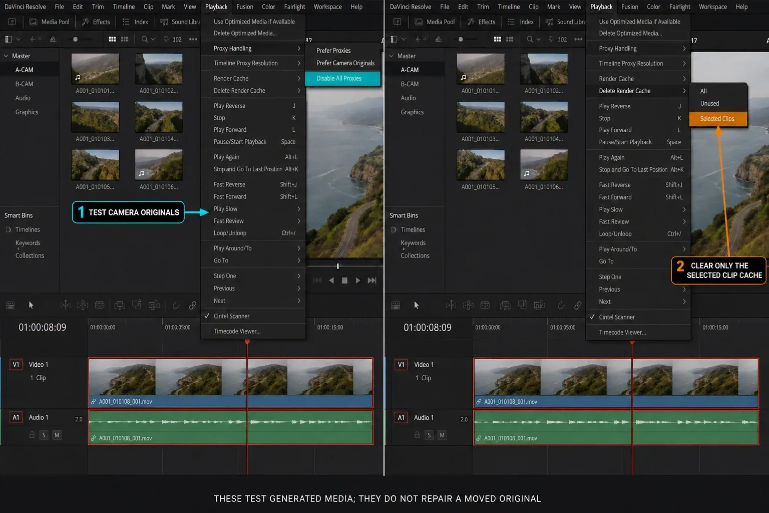 DaVinci Resolve Proxy Handling and Delete Render Cache controls for offline media