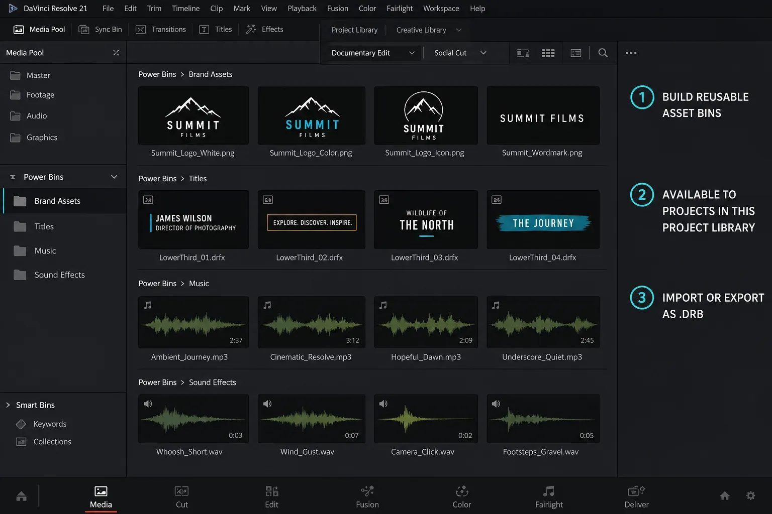 DaVinci Resolve 21 Power Bins with Brand, Audio and Titles available across projects in one library