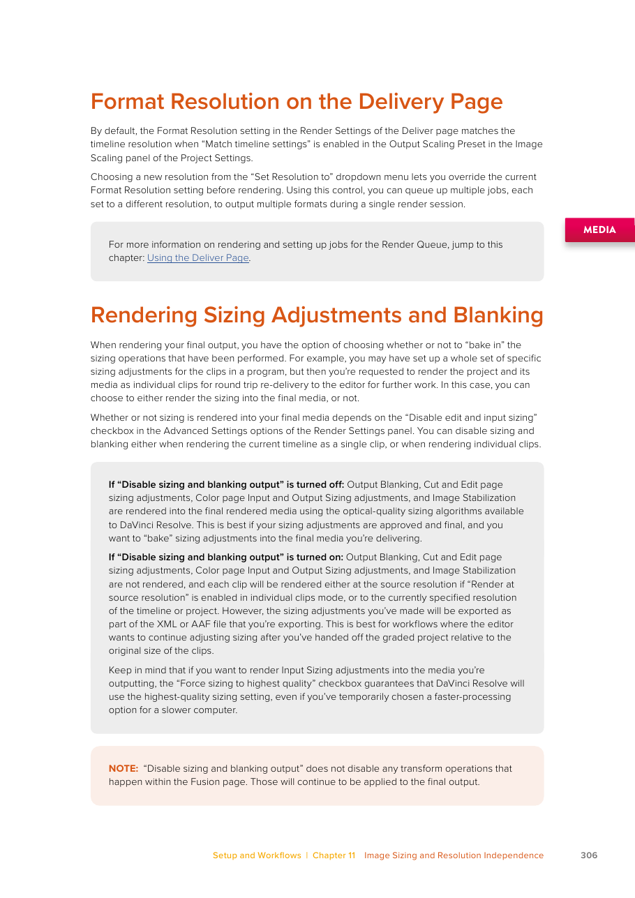 Resolve 21 rendering rules for Disable sizing and blanking output in Deliver Advanced Settings