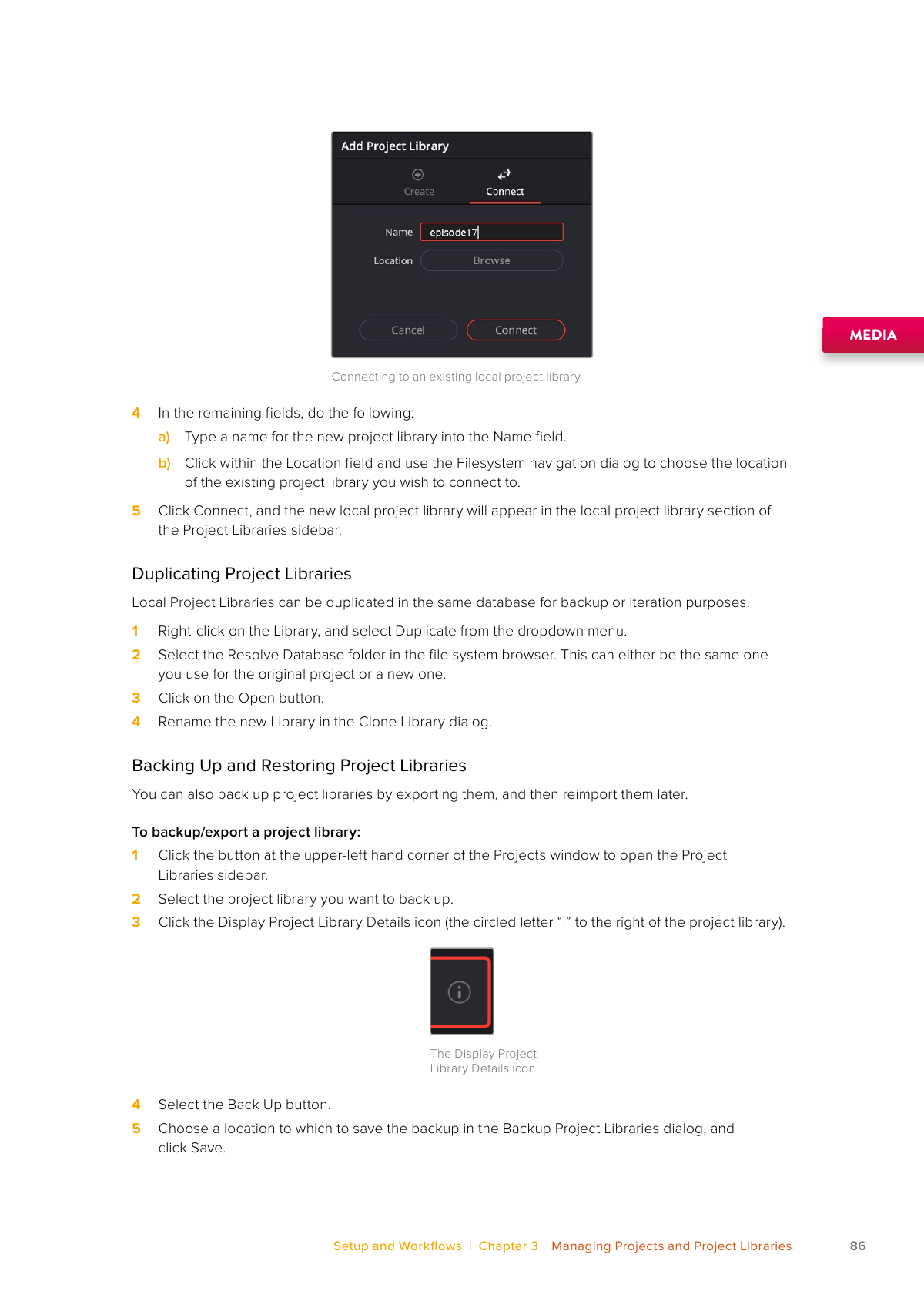 Resolve 21 Project Library details icon and Back Up workflow before an application update