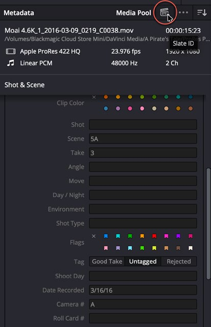 Resolve 21 Slate ID icon at the top of the Metadata pane