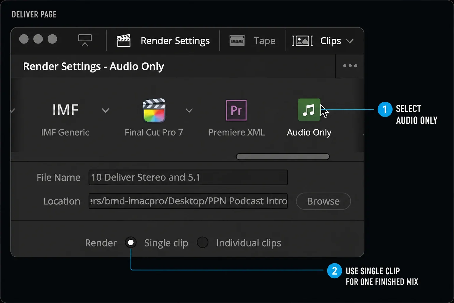 DaVinci Resolve Deliver page with Audio Only preset and Single clip selection