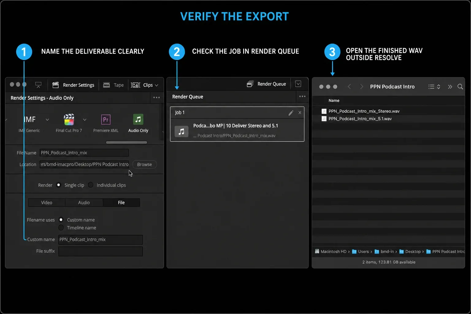 DaVinci Resolve File panel and Render Queue followed by finished WAV files opened outside Resolve