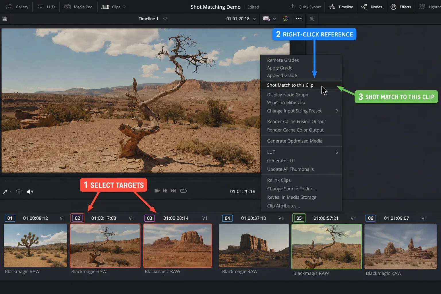 DaVinci Resolve Color page selecting target clips before right-clicking the Shot Match reference