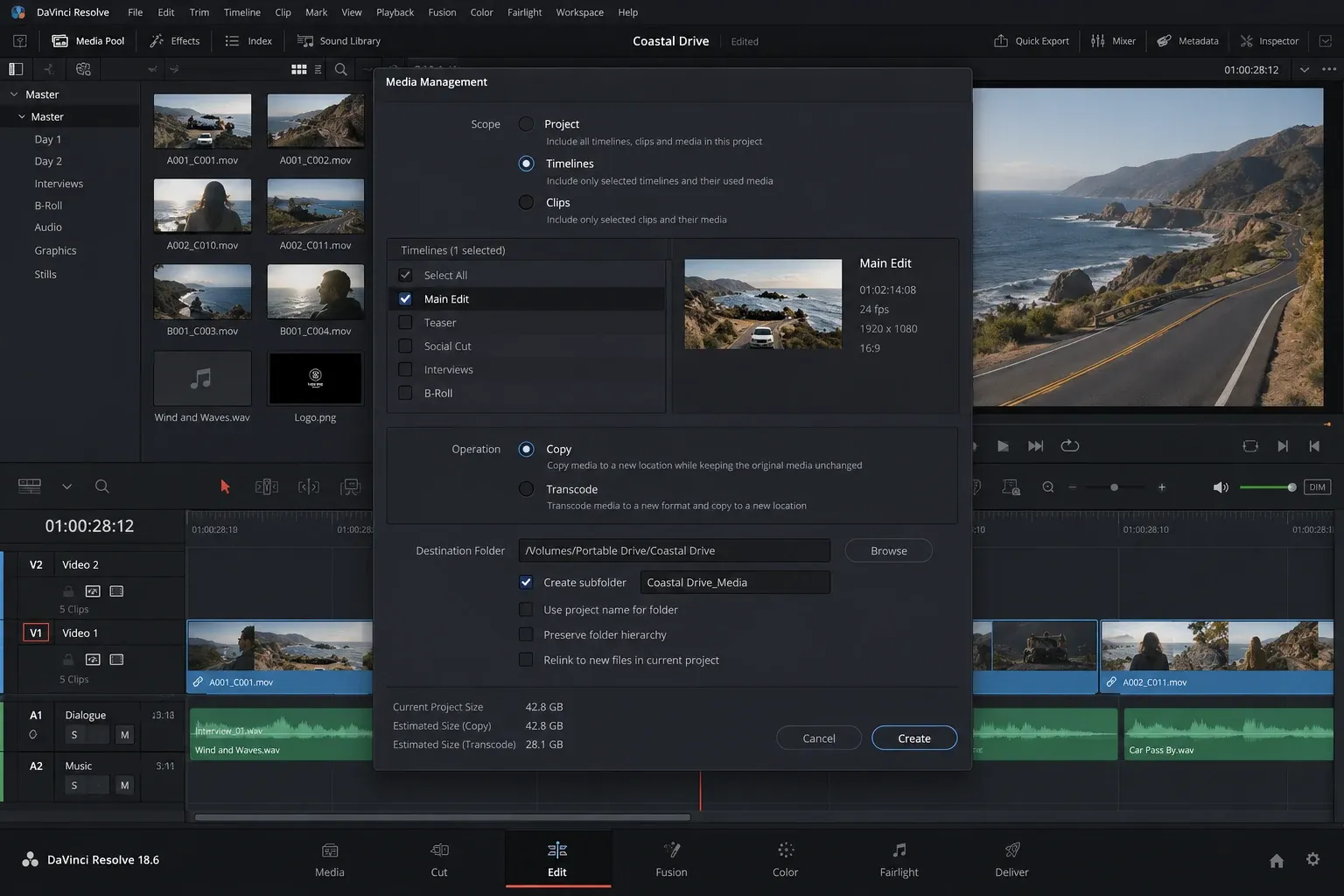 Media Management window with Project, Timelines and Clips scope options and Copy selected