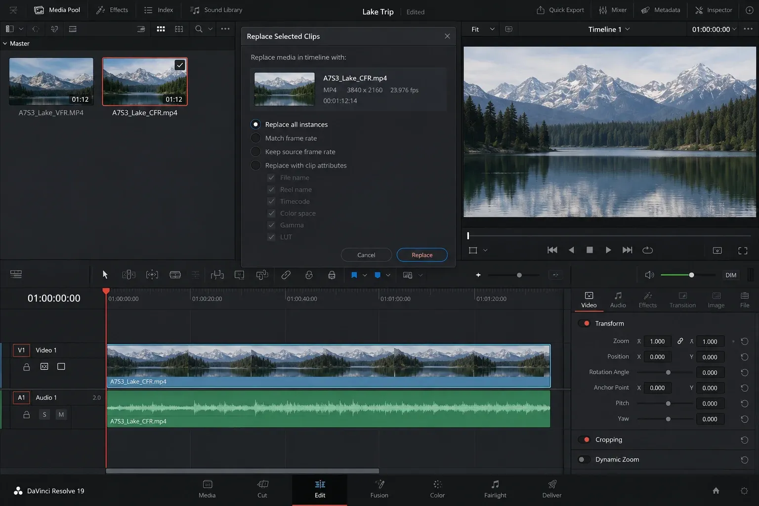 Resolve Media Pool with original and CFR clips while the converted file is selected for a relink check