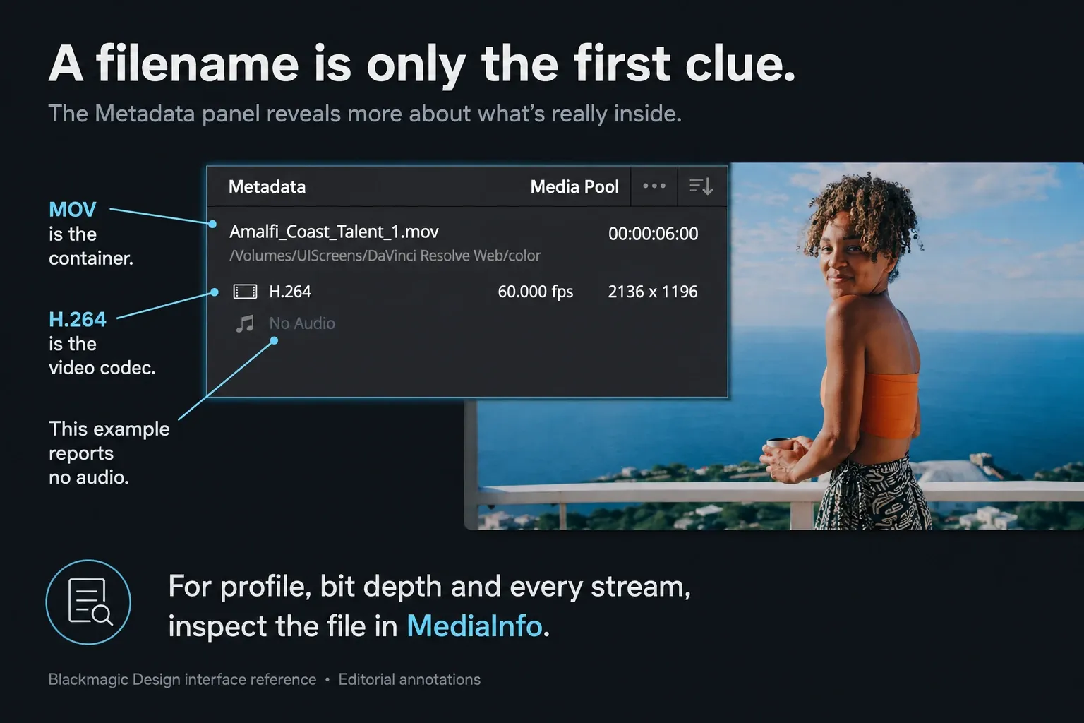 Resolve Metadata panel distinguishing a MOV container, H.264 video codec and the example's No Audio status