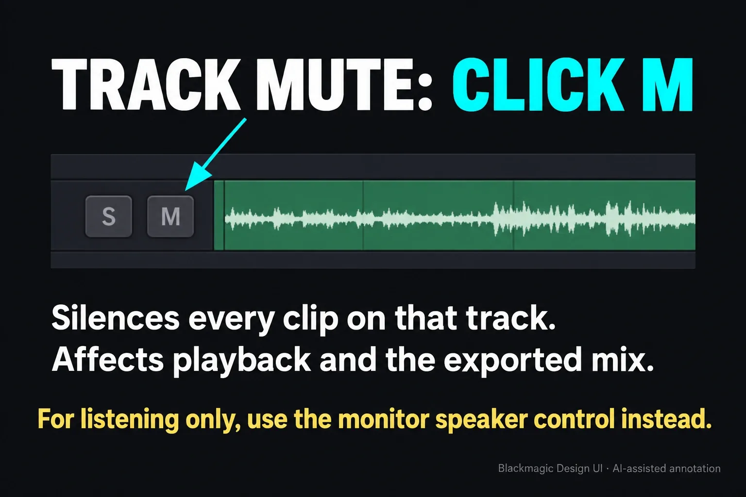 DaVinci Resolve track M button beside Solo for muting track audio
