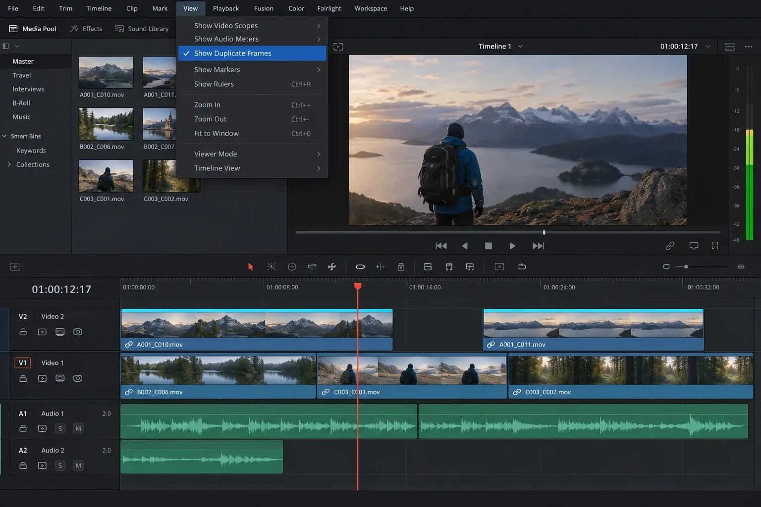 DaVinci Resolve Edit page with View menu open and Show Duplicate Frames enabled