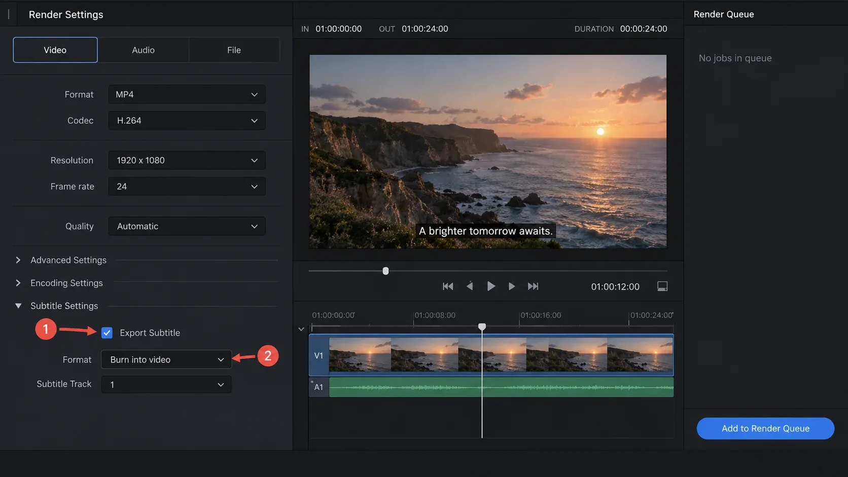 DaVinci Resolve Subtitle Settings with Export Subtitle enabled and Burn into video selected