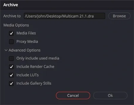 Resolve Archive dialog with Media Files, Proxy Media, used-media, cache, LUT and Gallery still options