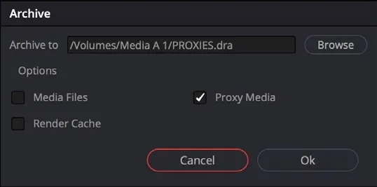 Archive Settings with Media Files, Render Cache and Proxy Media choices