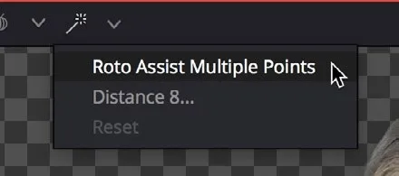 Roto Assist options for Multiple Points, Distance and Reset