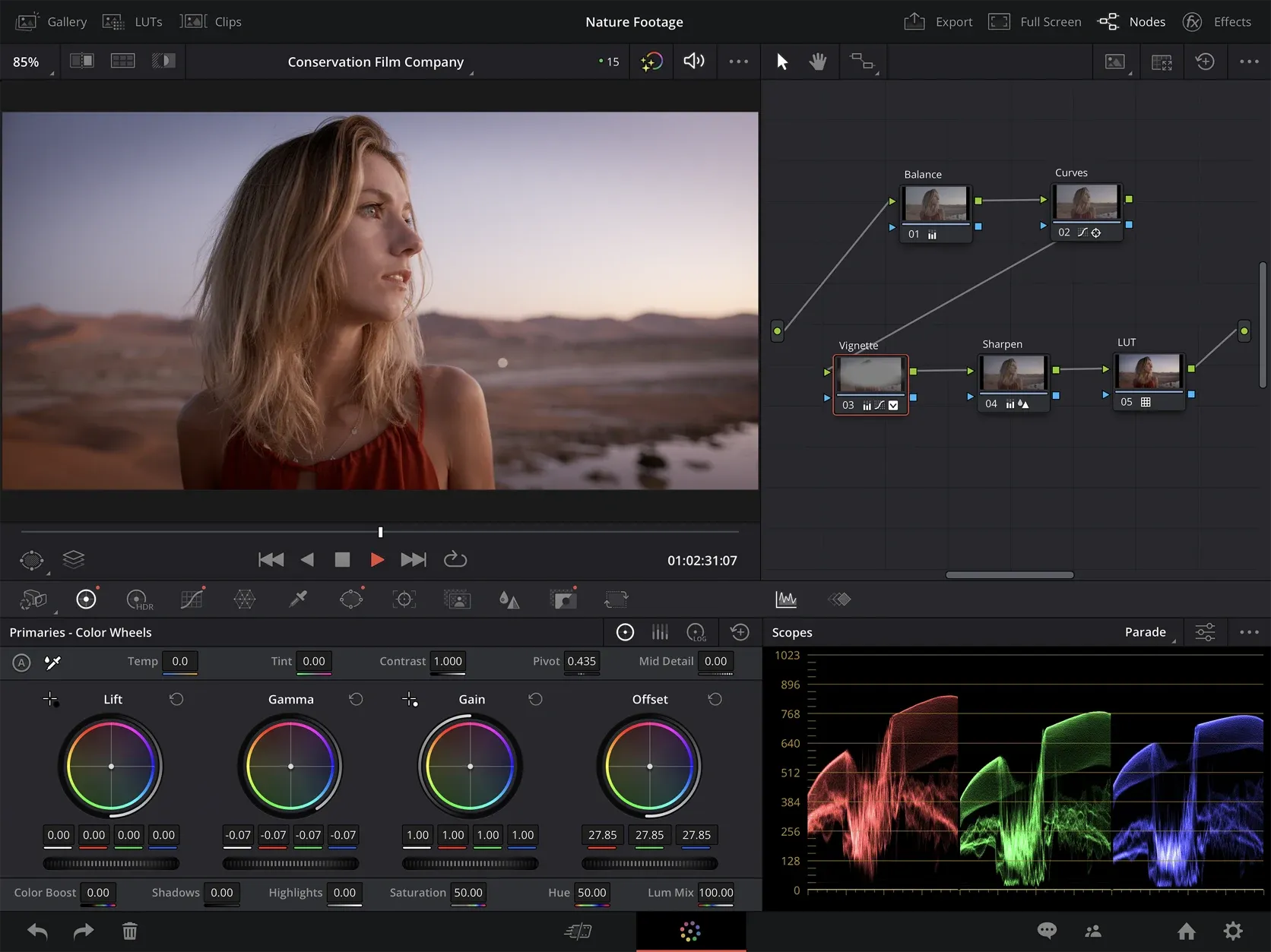 Official DaVinci Resolve for iPad Color page with viewer grading controls and node graph